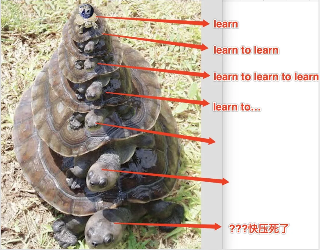 原文配图